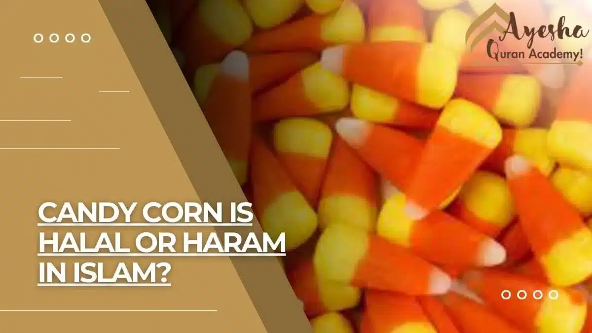 Is Candy Corn Halal Or Haram?