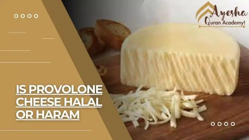 Is Provolone Cheese Halal Or Haram?