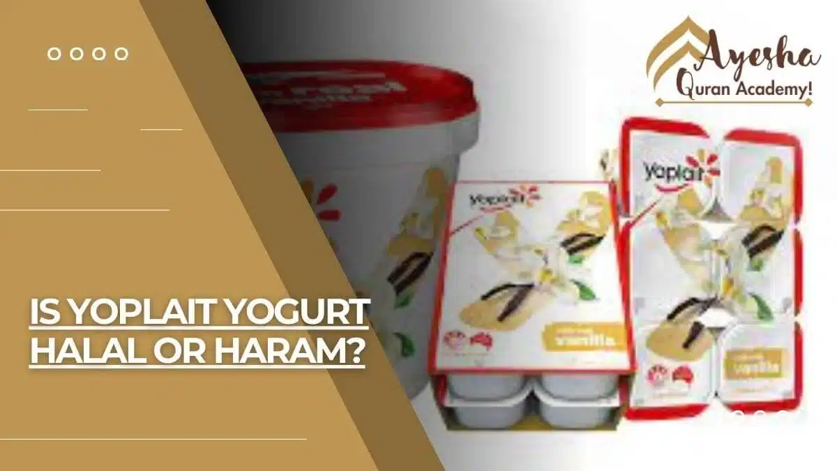 Is Yoplait Yogurt Halal Or Haram?