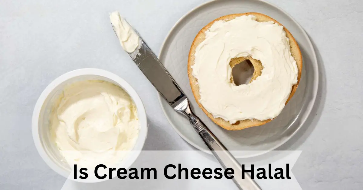 Is Cream Cheese Halal