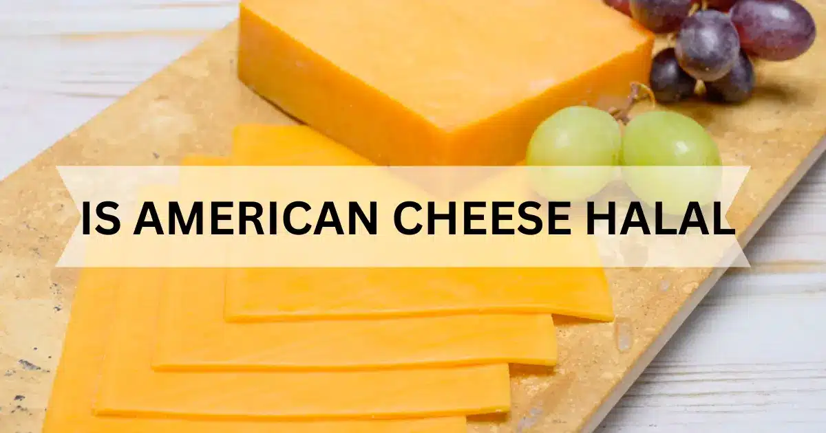 is american cheese halal